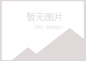 黄山黄山代云金属有限公司